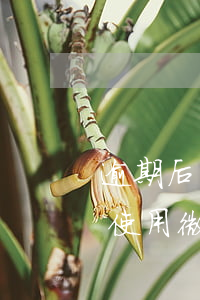逾期后還能正常使用微信嗎(逾期后還能正常使用微信嗎)