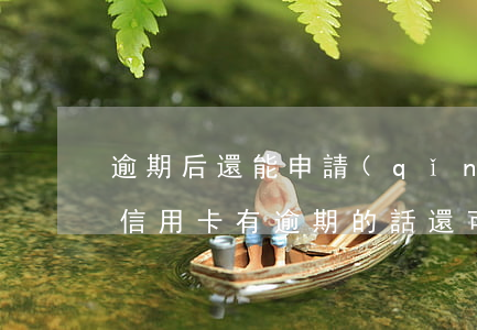逾期后還能申請(qǐng)信用卡么(別的信用卡有逾期的話還可以申請(qǐng)信用卡嗎)