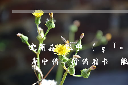逾期后還能申請(qǐng)信用卡嗎（有逾期中信銀行信用卡還能申請(qǐng)嗎）