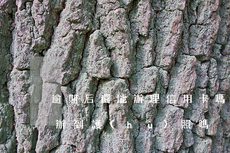 逾期后還能辦理信用卡嗎（信用卡逾期啦還能辦到護(hù)照嗎）
