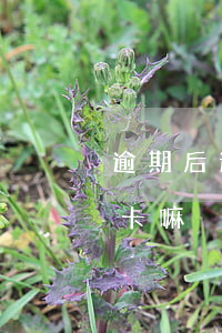 逾期后還能辦理信用卡 逾期后還能辦理信用卡嘛