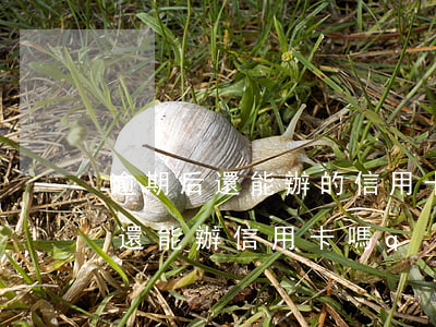 逾期后還能辦的信用卡（手機(jī)逾期了還能辦信用卡嗎q）