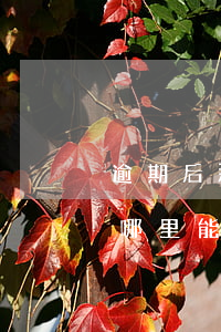 逾期后那里能貸款(有當(dāng)前逾期哪里能貸款)