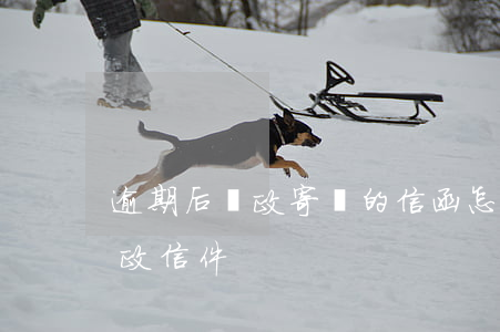 逾期后郵政寄來的信函怎么辦上海-逾期郵政信件