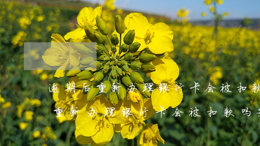 逾期后重新办理银行卡会被扣款吗-逾期后重新办理银行卡会被扣款吗安全吗