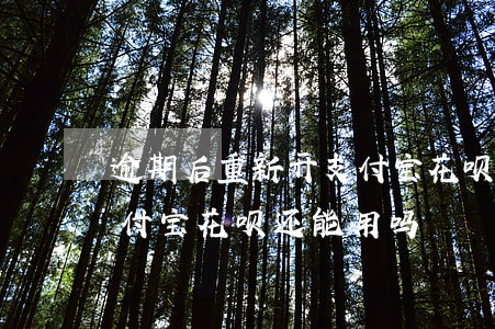 逾期后重新开支付宝花呗-逾期后重新开支付宝花呗还能用吗