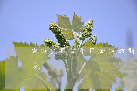 逾期后銀行不給分期(逾期后銀行不給分期還款)