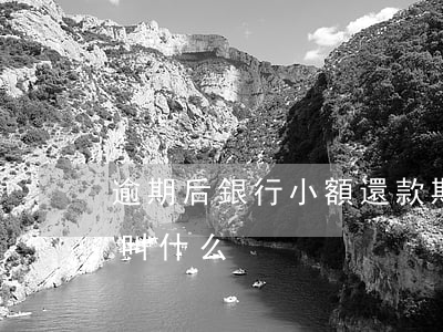 逾期后銀行小額還款期限(銀行申請逾期還款叫什么)