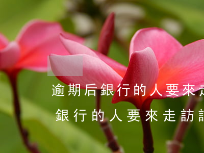 逾期后銀行的人要來走訪該怎么說-逾期后銀行的人要來走訪該怎么說呢