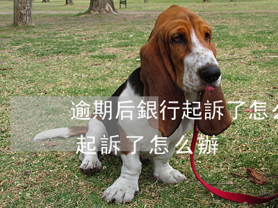 逾期后銀行起訴了怎么辦信用卡（逾期后銀行起訴了怎么辦）