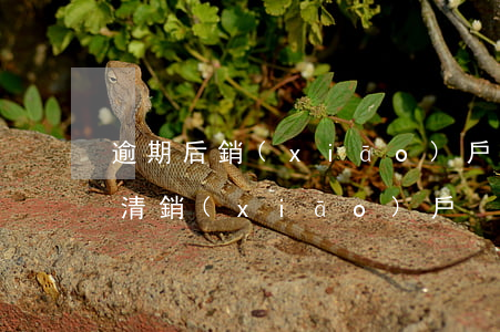 逾期后銷(xiāo)戶（逾期結(jié)清銷(xiāo)戶）