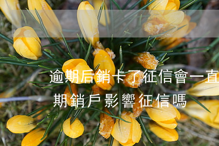 逾期后銷卡了征信會一直在嗎（信用卡有過逾期銷戶影響征信嗎）