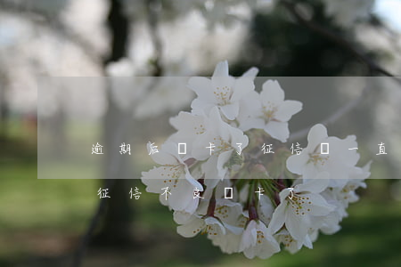 逾期后銷卡了征信會一直在嗎（信用卡逾期后征信不良銷卡了）