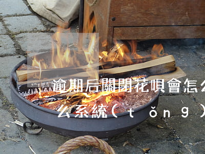 逾期后關閉花唄會怎么樣(花唄從未逾期,為什么系統(tǒng)直接關閉了)