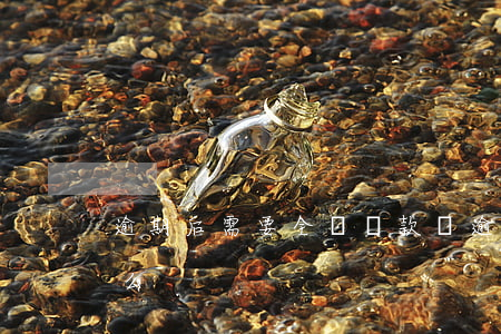 逾期后需要全額還款嗎(逾期要求還全款合理么)