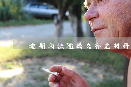 逾期向法院提交补充材料