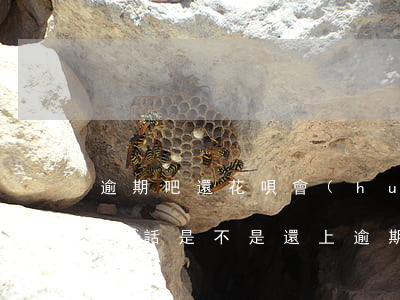 逾期吧還花唄會(huì)怎么樣(花唄逾期的話是不是還上逾期的錢就可以了)
