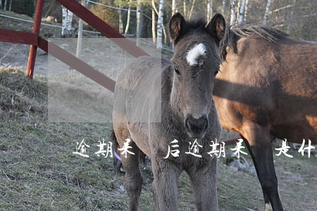 逾期呆賬后 逾期呆賬是什么意思