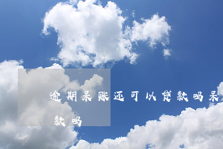 逾期呆账还可以贷款吗(呆账变成逾期可以贷款吗)