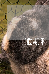 逾期和失信人 逾期和失信人一樣嗎