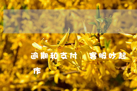 逾期和支付寶客服吵起來(支付寶逾期客服工作)