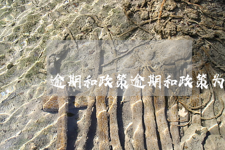 逾期和政策(逾期和政策为0什么意思)