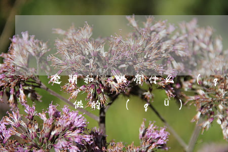 逾期和斷供有什么區(qū)別 房貸逾期和斷供的區(qū)別