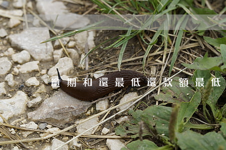 逾期和還最低還款額(最低還款是不是逾期)