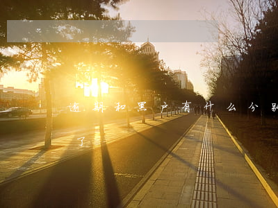逾期和黑户有什么分别(逾期什么样就是黑户了)