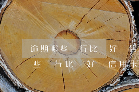 逾期哪些銀行比較好辦信用卡貸款-逾期哪些銀行比較好辦信用卡貸款業(yè)務(wù)