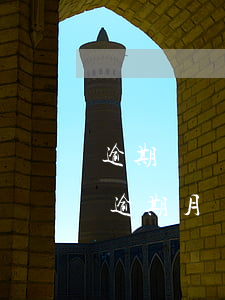 逾期單筆超過5萬-逾期次數(shù)和逾期月數(shù)
