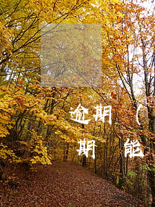逾期嚴(yán)重的還能貸款嗎6(貸款逾期還能貸款嗎)
