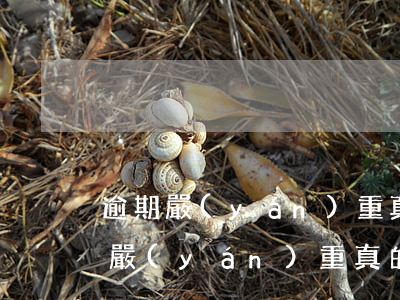 逾期嚴(yán)重真的辦不了信用卡(逾期嚴(yán)重真的辦不了信用卡)