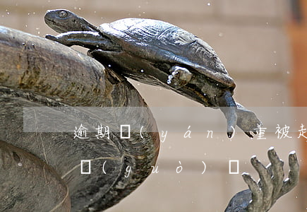 逾期嚴(yán)重被起訴(有人逾期被起訴過(guò)嗎)