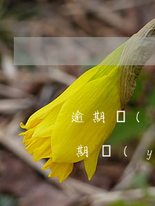 逾期嚴(yán)重買房貸款不了怎么辦（逾期嚴(yán)重買房）