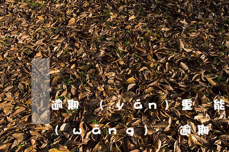 逾期嚴(yán)重還能過(guò)的網(wǎng)貸(逾期嚴(yán)重還能過(guò)的網(wǎng)貸)