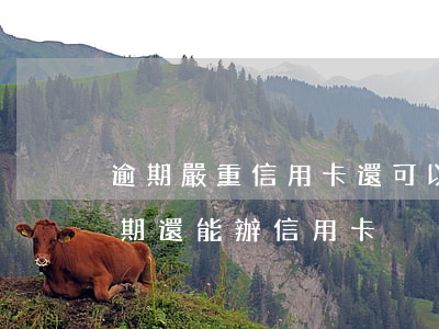 逾期嚴重信用卡還可以用嗎上海(為什么有逾期還能辦信用卡)