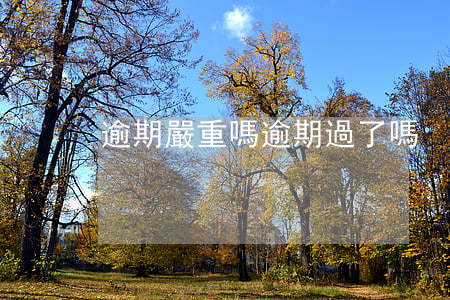 逾期嚴重嗎（逾期過了嗎）