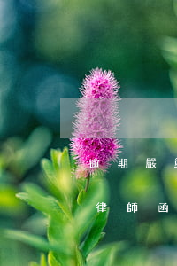 逾期嚴重收到律師短信(逾期多久發(fā)律師函)