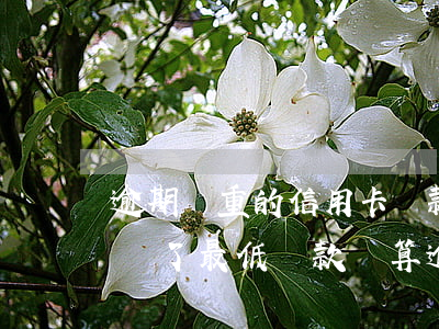 逾期嚴重的信用卡還款還能用嗎（信用卡逾期還了最低還款還算逾期嗎）