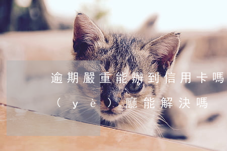 逾期嚴重能辦到信用卡嗎（信用卡逾期去營業(yè)廳能解決嗎）
