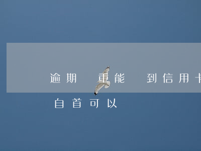逾期嚴重能辦到信用卡嗎（信用卡逾期直接去自首可以嗎）