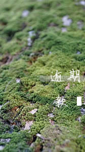 逾期嚴重還清后能房貸嗎(房貸逾期了還能貸款嗎)
