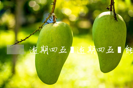 逾期四五萬(逾期四五萬能下款嗎)