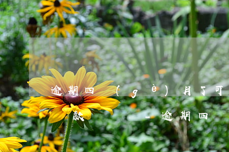 逾期四個(gè)月了可以協(xié)商還款嗎電話-逾期四個(gè)月可以和銀行協(xié)商還款嗎
