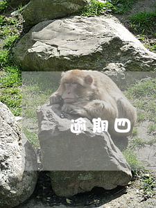 逾期四個月信用卡還能用嗎 逾期四個月信用卡還能用嗎