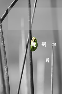 逾期四個月能貸房貸嗎(房貸逾期四個月第五個月還進去)