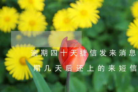 逾期四十天捷信发来消息说上征信-捷信逾期几天后还上的,来短信告诉要上报征信