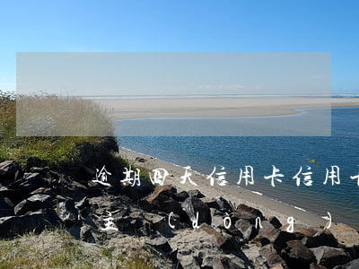 逾期四天信用卡（信用卡逾期四個(gè)月主動(dòng)還款）
