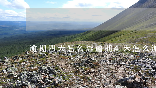 逾期四天怎么辦（逾期4天怎么辦）
